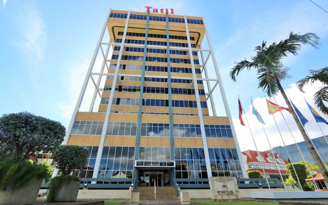 Ansa Mcal (AMCL) Stock Analysis Report 2025