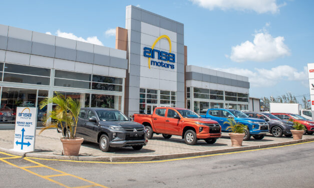 Ansa Mcal (AMCL) Stock Analysis Report